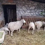 Casa Dos Tios Gæstehus Fátima