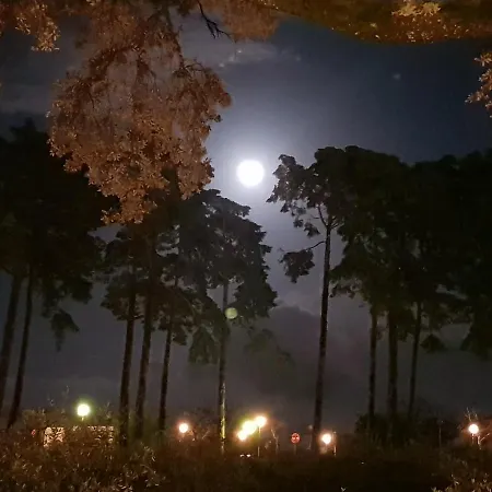 Casa Dos Tios ゲストハウス 4*