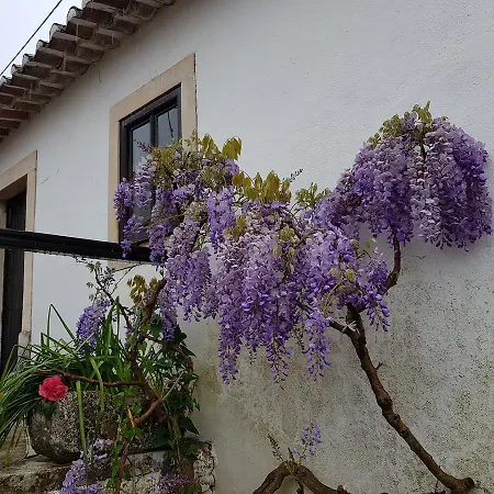 Casa Dos Tios * Fatima