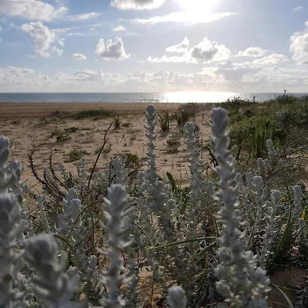 بيت ضيافة Casa Dos Tios فاطمة