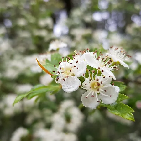بيت ضيافة Casa Dos Tios 4*