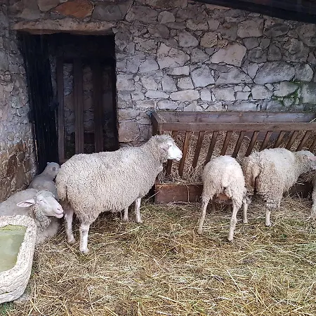Casa Dos Tios Pensión Fátima