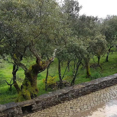 Casa Dos Tios Penzion