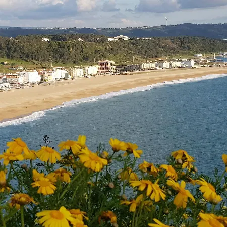 Casa Dos Tios ゲストハウス 4*