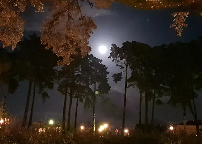 Casa Dos Tios Affittacamere 4*