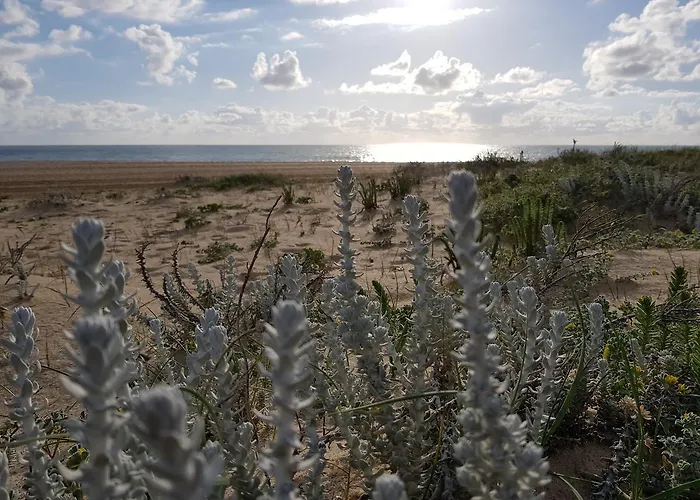 Affittacamere Casa Dos Tios Fatima