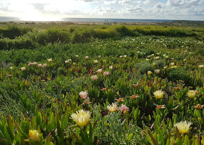 Affittacamere Casa Dos Tios