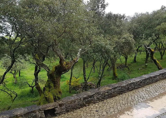 Casa Dos Tios Affittacamere