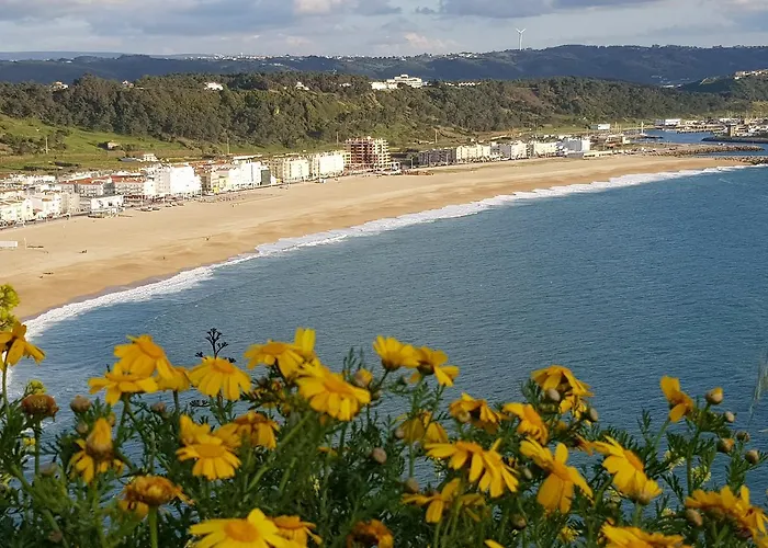 Casa Dos Tios Affittacamere 4*